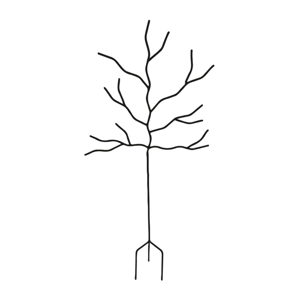 Ploché opory - Opora pro rostliny LUDVIG kovová 175cm