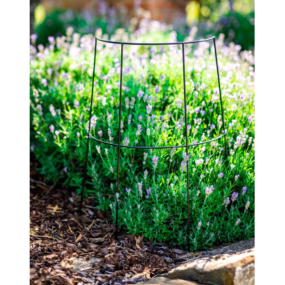 Opora pro rostliny MOZES kovová 65cm-0