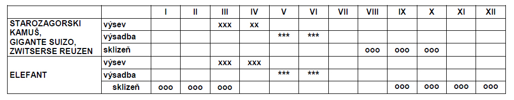 Pór zimní Elefant-0