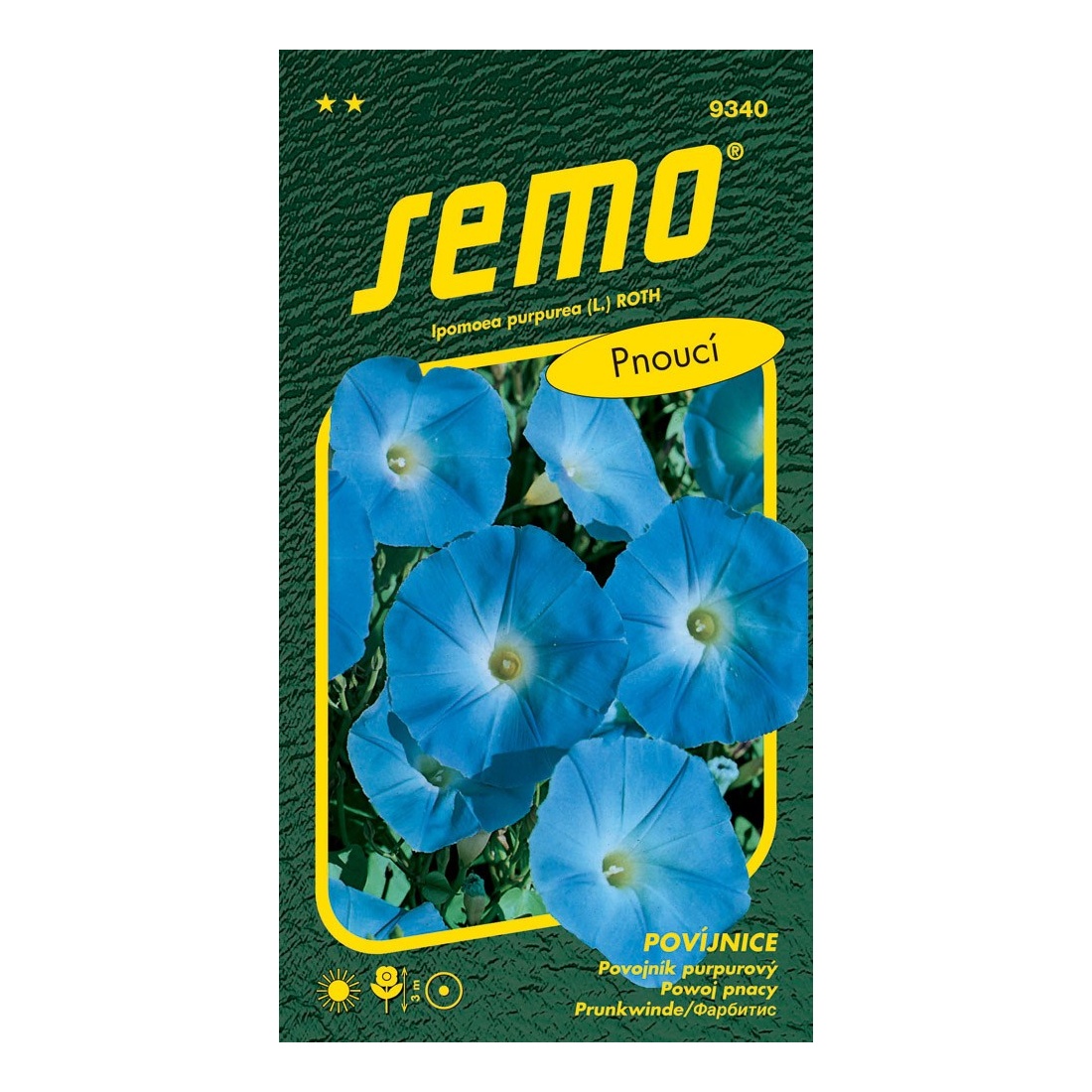 Osivo letniček - Povíjnice modrá Azur