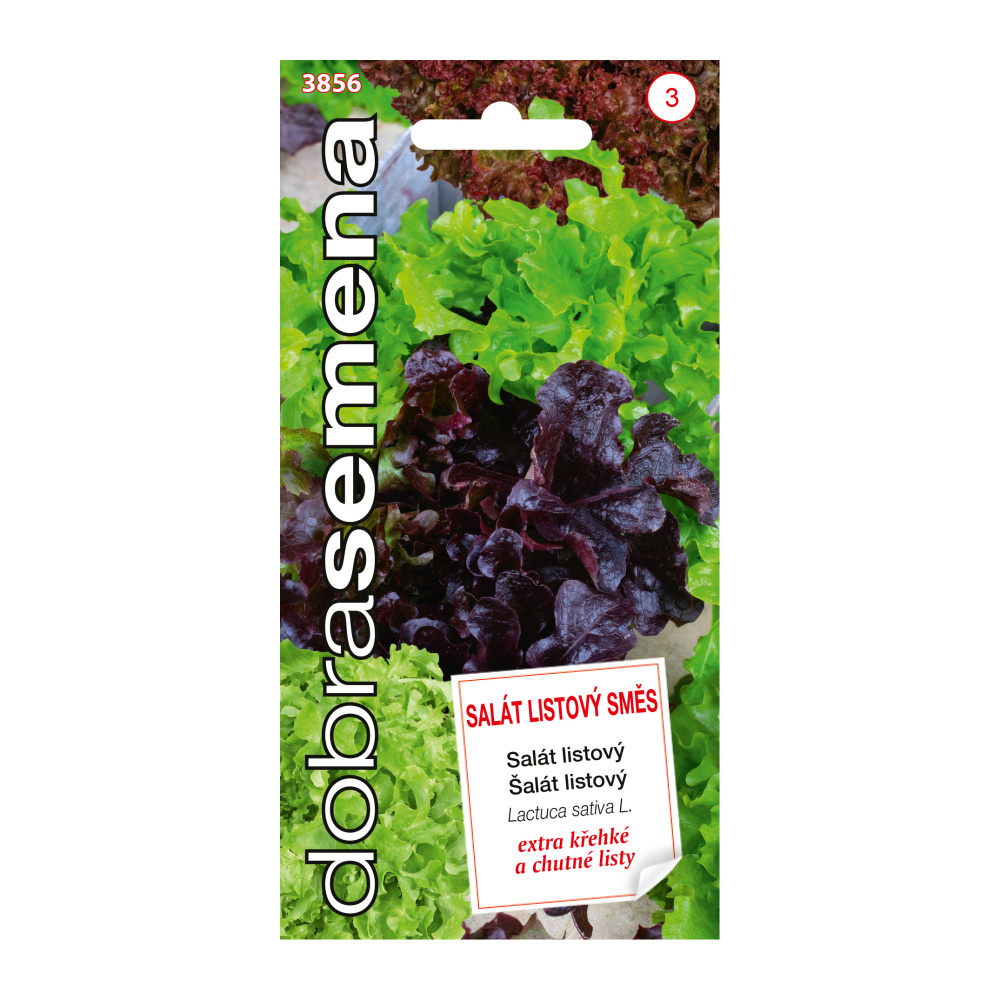 Osivo zeleniny - Salát listový směs (DS)