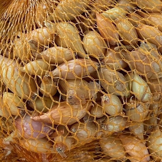 Sadba česneku a cibule - Sazečka Sturon balení 500g