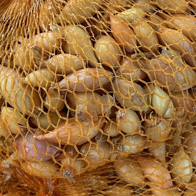 Sadba česneku a cibule - Sazečka Všetana balení 500g