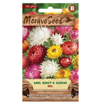 Osivo letniček - Smil helichrysum nízký směs (MS)