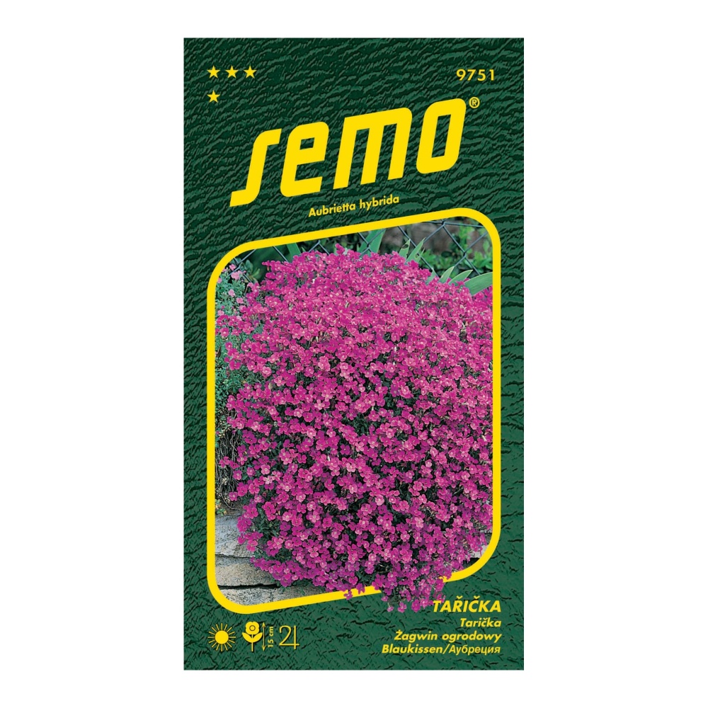 Osivo trvalek - Tařička Leichtlinii