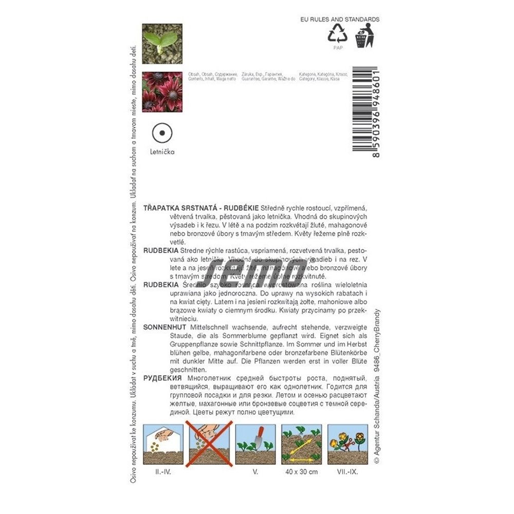 Třapatka srstnatá Cherry Brandy-0