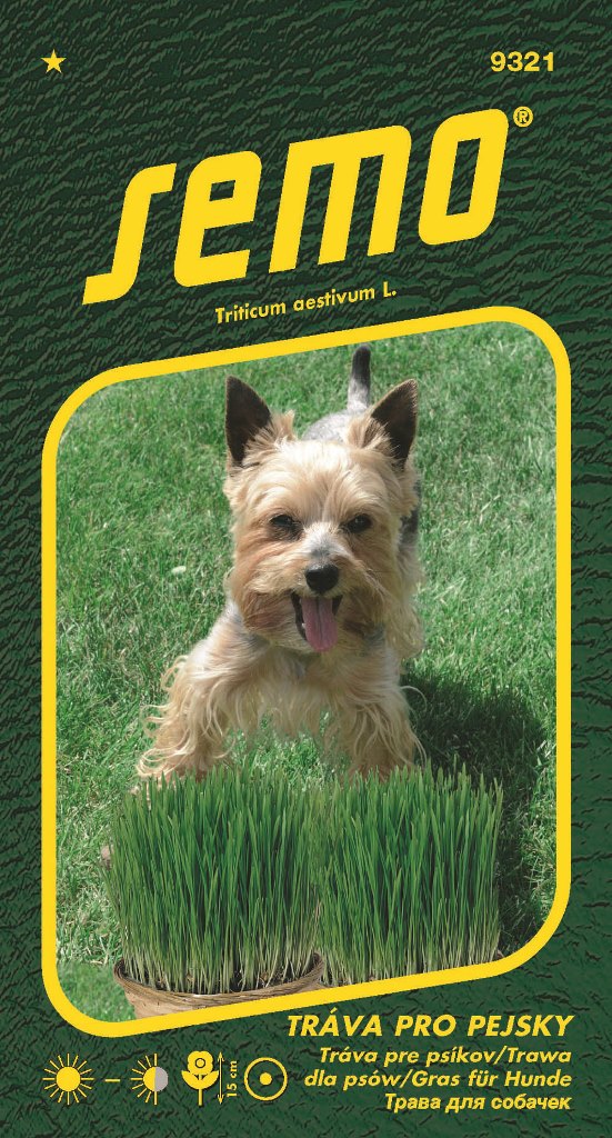 Osivo pro zvířata a medonosné - Tráva pro pejsky