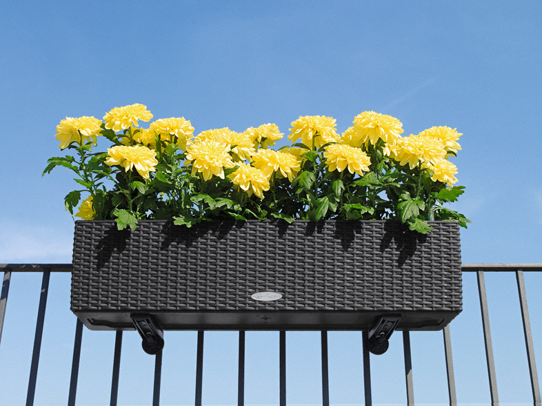 Truhlík Lechuza BALCONERA Cottage 80cm komplet set šedivá-1