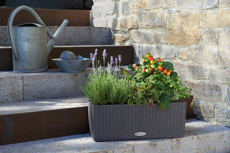 Truhlík Lechuza BALCONERA Cottage 80cm komplet set šedivá-2