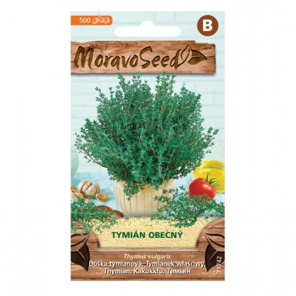 Osivo bylinek - Tymián obecný (MS)
