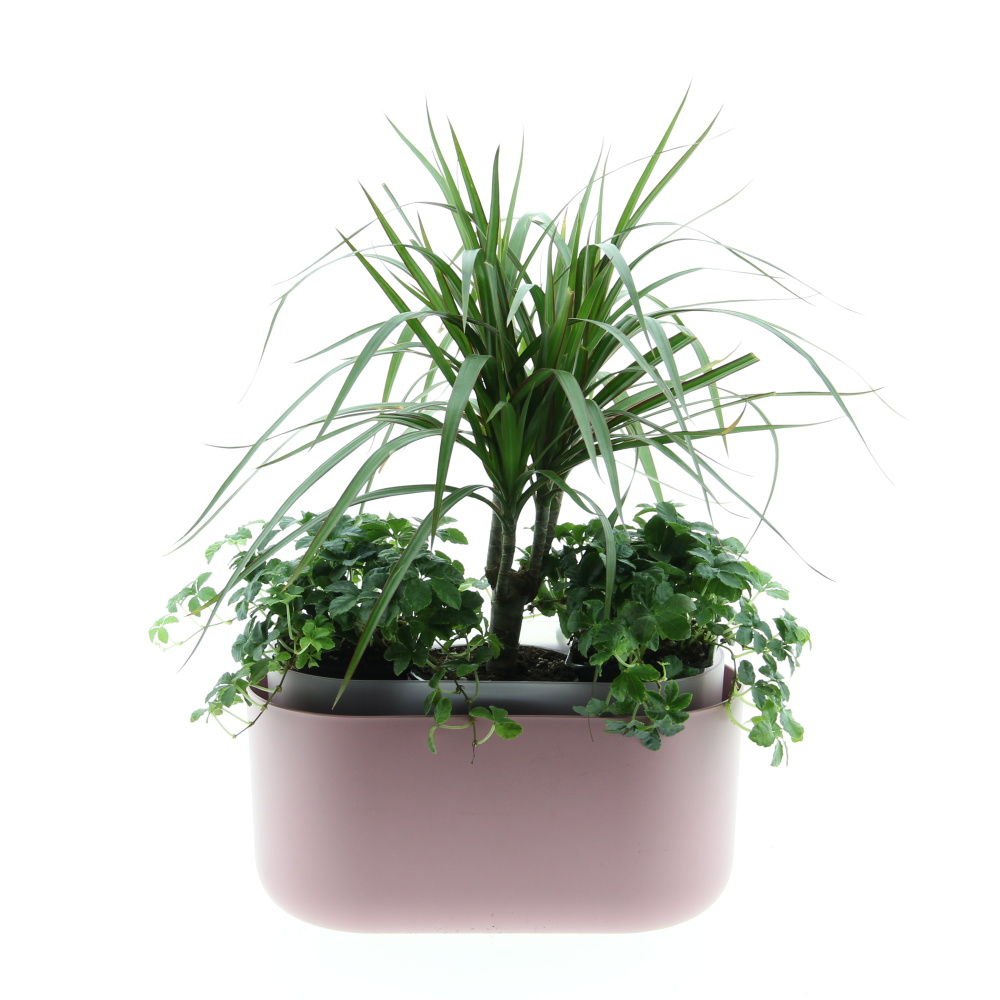Zelený vodopád truhlík Tolita 31cm-0